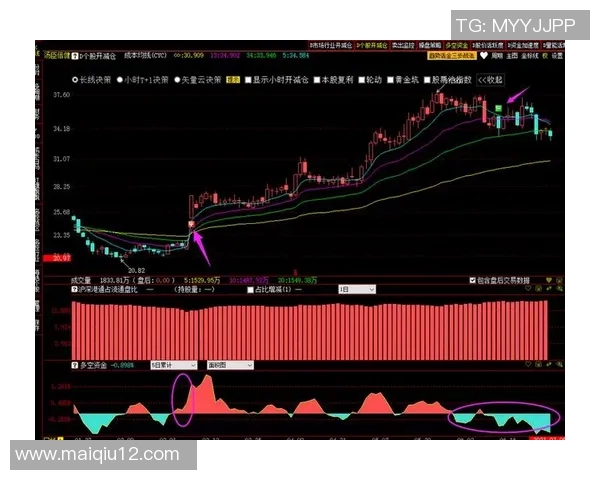 体育实时数据深入分析南京羽毛球队整体压制打法的战术特点与实战应用