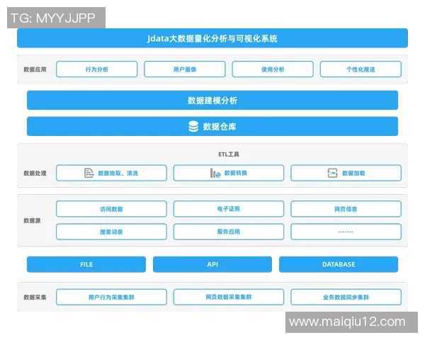 武汉排球队技术表现深度分析与数据解读探讨实时数据