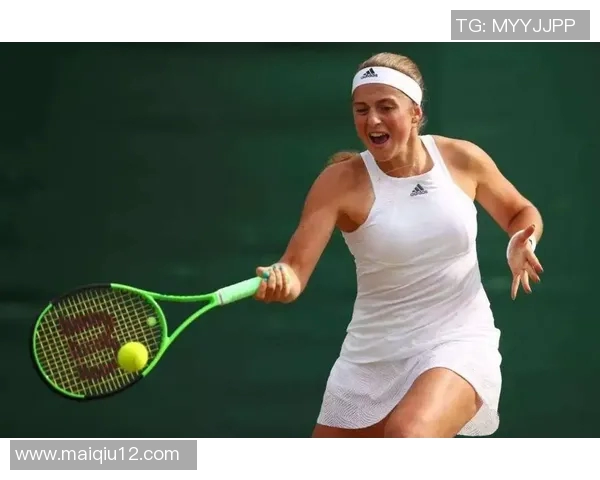 今年运动数据周娜倾情分享网球技巧与心得助你提升球技的独家秘籍